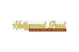 Hollywood Feed